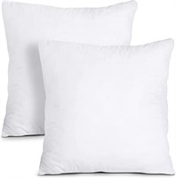 Set of 2, 22x22" Throw Pillows