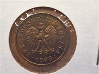 Polish coin
