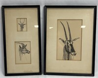 Lot Of 2 Antelope Drawings/Prints Framed & Matted
