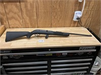 Savage Model 64 22LR With Clip