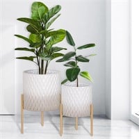 Plants Pots with Stand