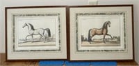 Pair of Framed Stallion Prints
