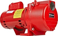 Red Lion Cast Iron Sprinkler/Irrigation Pump