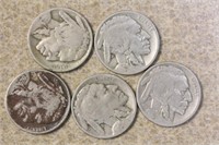 Lot of 5 Buffalo Nickels
