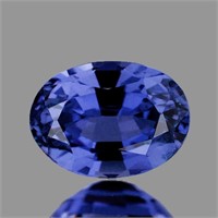 Natural Blue Sapphire [Flawless-VVS]