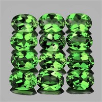 Natural Chrome Green Apatite 12 Pcs (Flawless-VVS)