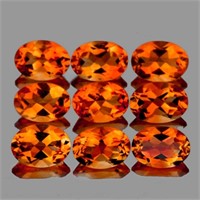 Natural Golden Orange Citrine 9 Pcs [Flawless-VVS]