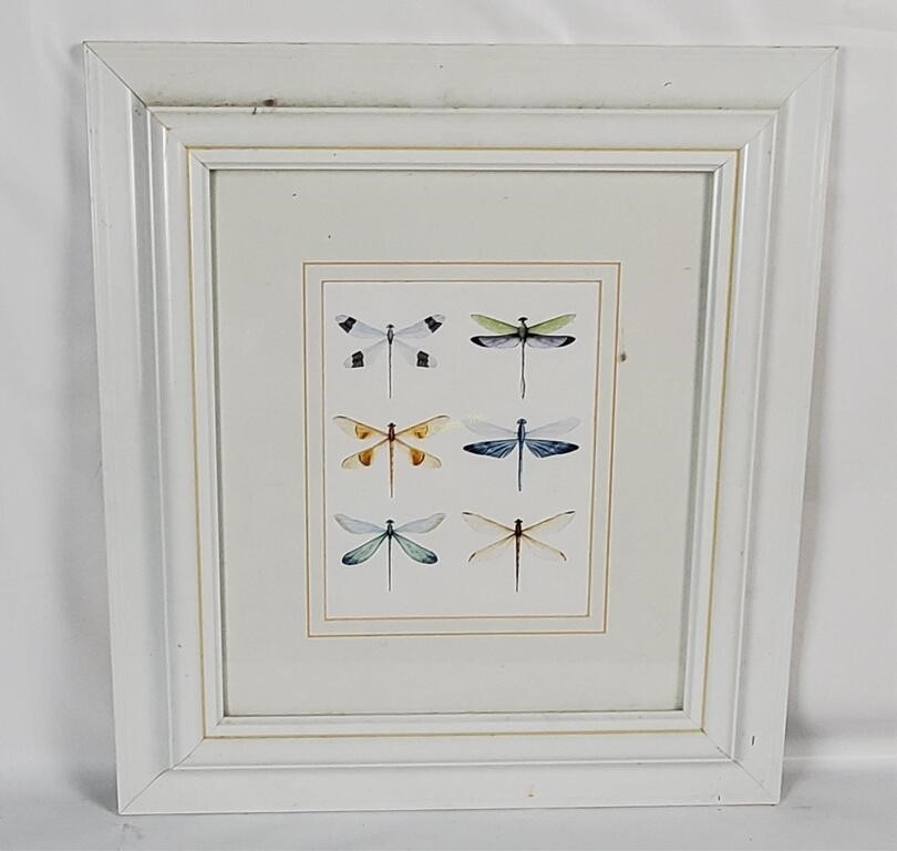 Framed Dragonflies Watercolor