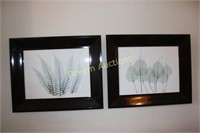 2 Modern Framed Pictures with Glass Cover 32x26.5