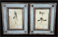 PAIR OF BOTANICALS IN PAINTED FRAMES