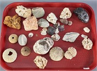 Miscellaneous Shell Pieces
