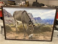 Desert burro print framed to 38x26