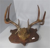 1952 Deer antler mount.