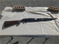 Remington 22 Long Rifle