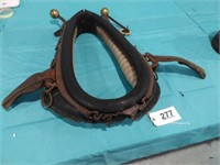 Horse Collar with Hanes