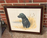 Framed Labrador Retriever Vintage