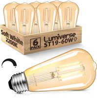 New $39 6pk LED Vintage Lightbulb