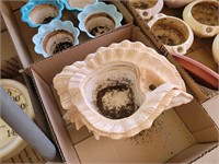 CONCH SHELL PLANTERS