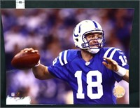 Peyton Manning #18 Colts photo