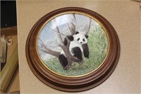 Framed Panda Collector's Plate