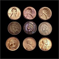 [9] Varied US Cents [1860, 1891, 1898, 1901,