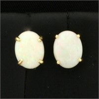 Opal Stud Earrings in 14k Yellow Gold