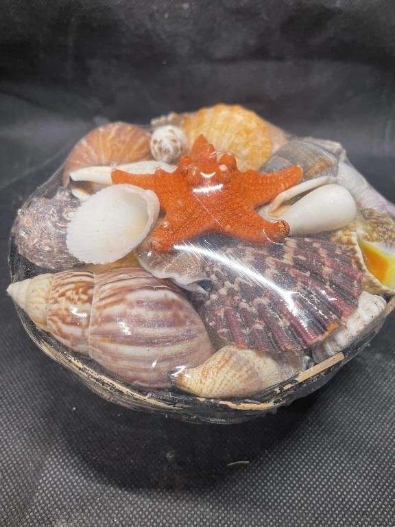 VTG Unopened Basket of Souvenir Sea Shells