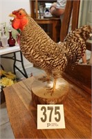 Rooster Decor(R2)