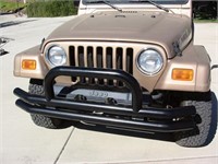 Rampage Double Tube Front Bumper with Hoop