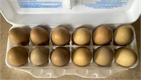 1-dozen F2-F3 olive egger hatching eggs