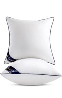 Pillow inserts set of 2