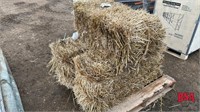 OFFSITE: 50 Square Wheat Straw Bales
