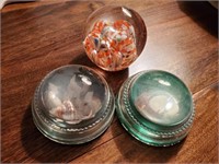 Blown glass, sea shell paperweights (3)