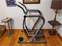 Gazelle exercise machine