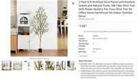 TN5156 2 Pack 6 ft Artificial Olive Plants
