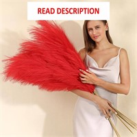 $33  Red Pampas Grass Decor  Set of 8