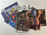 1994 Street Fighter Trading Cards by Capcom!