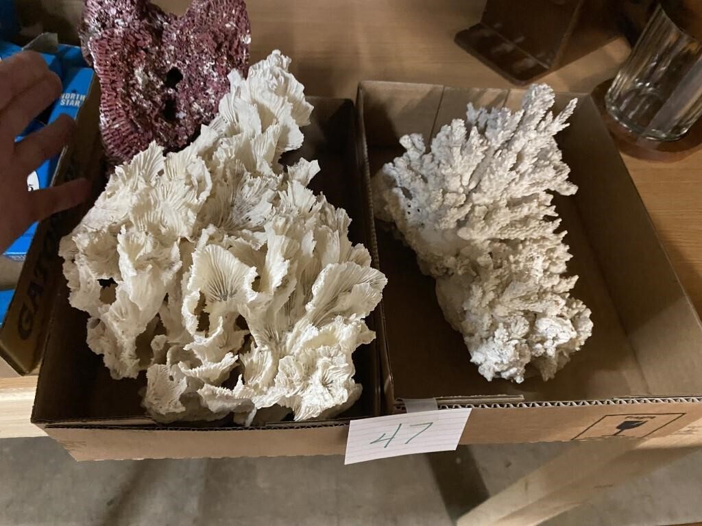 LARGE CORAL PIECES