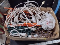 Box Lot of Xmas Lights & Extention Cords