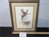 Pheasants Print w/ frame