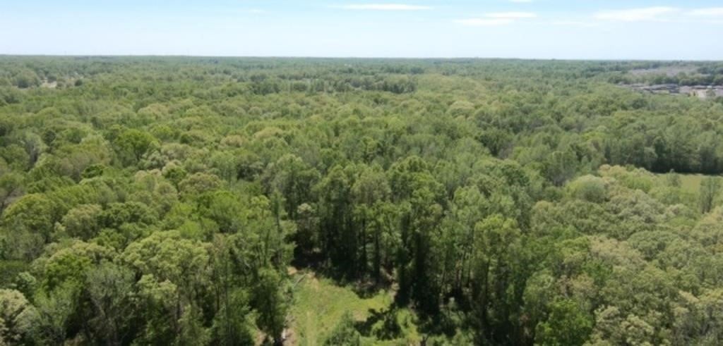 Absolute Land Auction - 54.31+/- Acres in Ward, AR