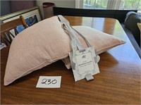 New Pink Couch Pillows (2)