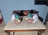 Mallard Ducks (2)