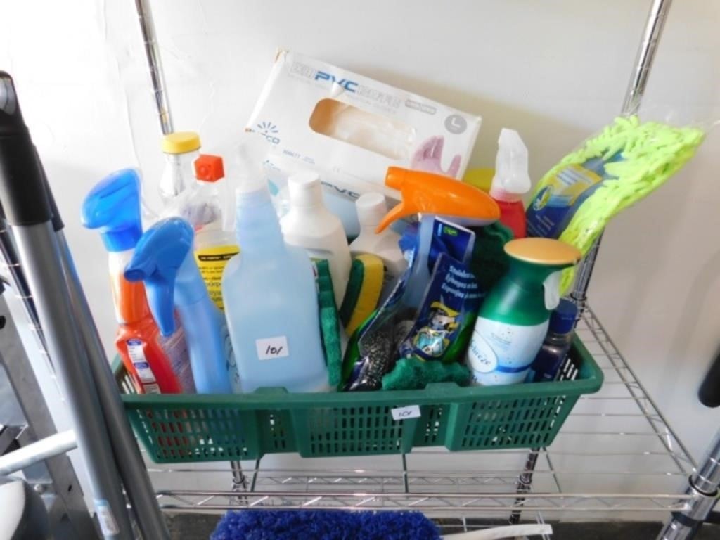 Assortment of Cleaning Products