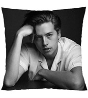 POCABLIFE COLE SPROUSE RIVERDALE THROW PILLOW