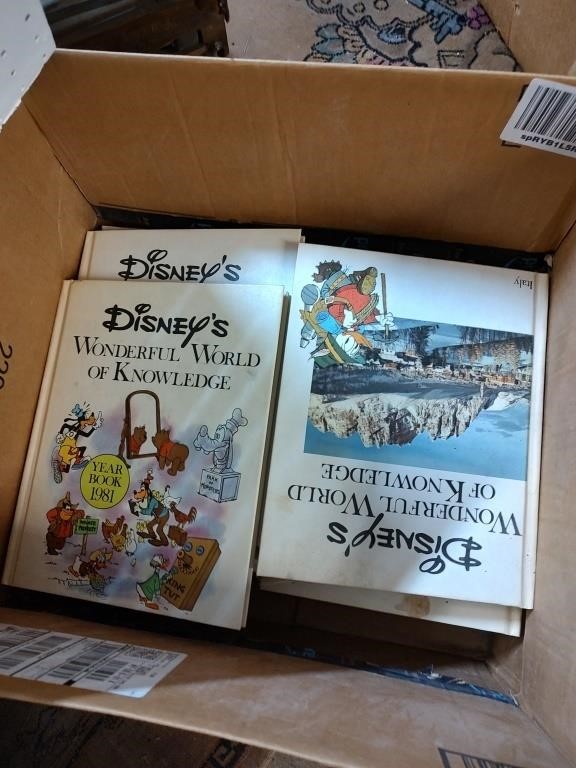 Large Box of Disney Books