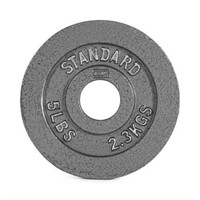CAP Barbell Gray Weight Plate  5 lb  Cast Iron PAI
