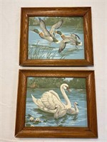 Duck & Swan Paint By Numbers