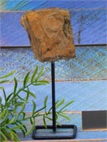 TIGER EYE DISPLAY ROCK STONE LAPIDARY SPECIMEN