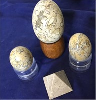 Large Polished Coral Fossil Egg & Jasper Eggs